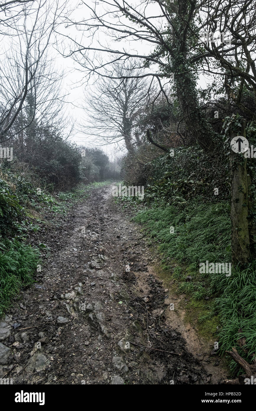 UK weather jour de Misty Bridleway Gannel estuaire Newquay Cornwall Banque D'Images