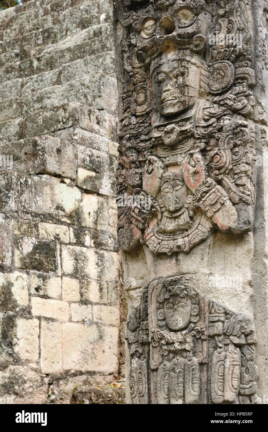 Le Honduras, cité maya de Copan en ruines. La photo présente le détail de la Stèle P sur le West Plaza Banque D'Images