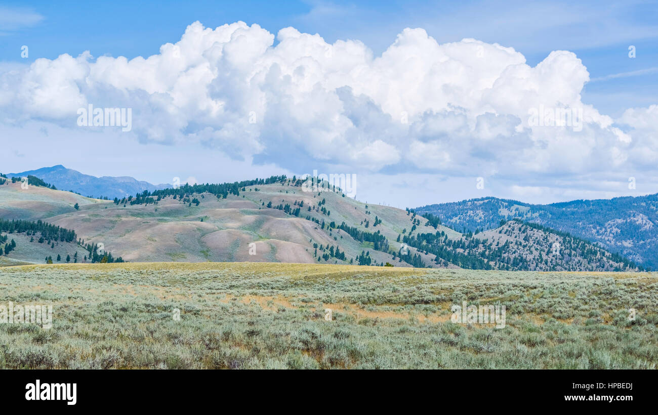 À l'ouest du Wyoming, Wyoming, USA. Contreforts des Rocheuses par un beau matin d'été avec l'armoise, collines, et ciel lumineux près de Wyoming, Wyomi Banque D'Images
