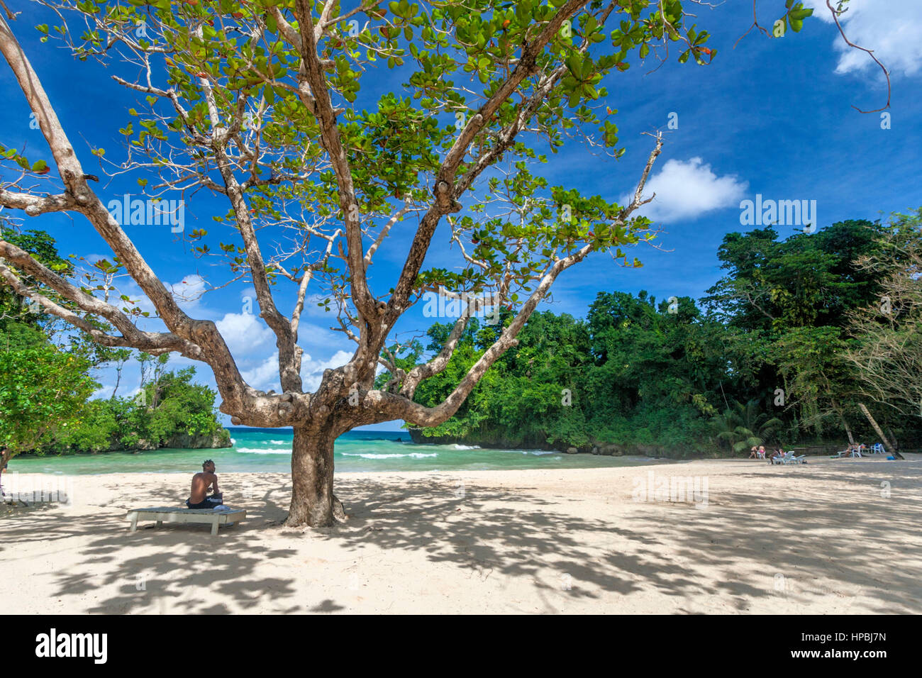 La Jamaïque Port Antonio Frenchmens Cove belle plage dans un jardin tropical avec un minéral river Banque D'Images