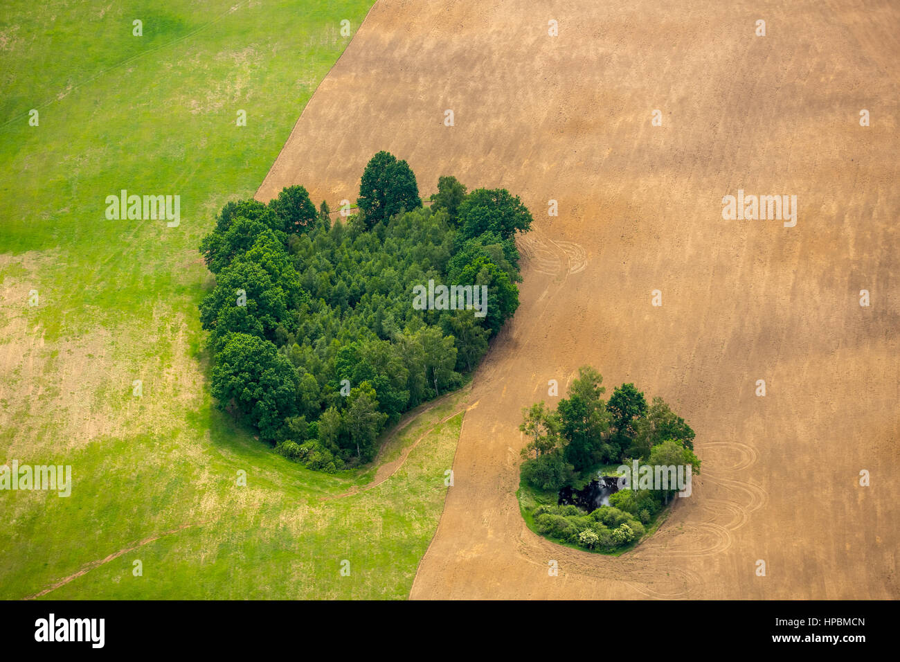 Obłęże, Poméranie, les place dans un champ de blé, côte de la mer Baltique, Pomorskie, Pologne Banque D'Images