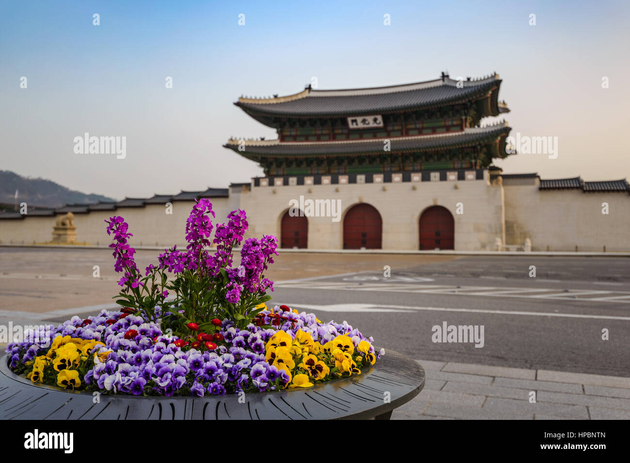 Printemps dans la ville de Séoul à Porte Gwanghwamun, Séoul, Corée du Sud Banque D'Images