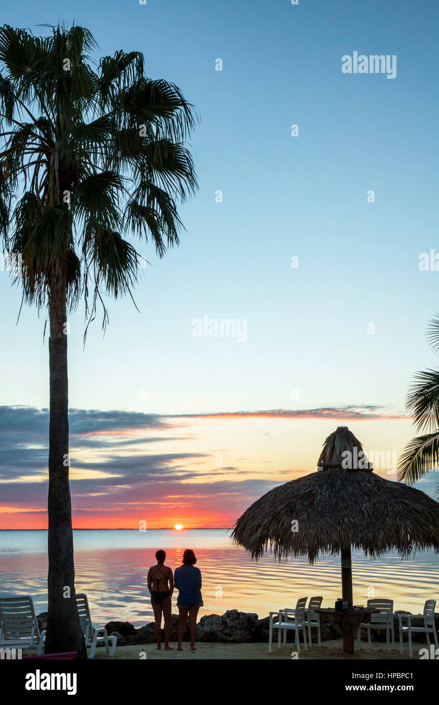 Florida Key Largo, Upper Florida Keys, Gilbert's Resort, Blackwater Sound, front de mer, coucher de soleil, palmier, parasol tiki, silhouette, Sabal Palmetto, chou pal Banque D'Images
