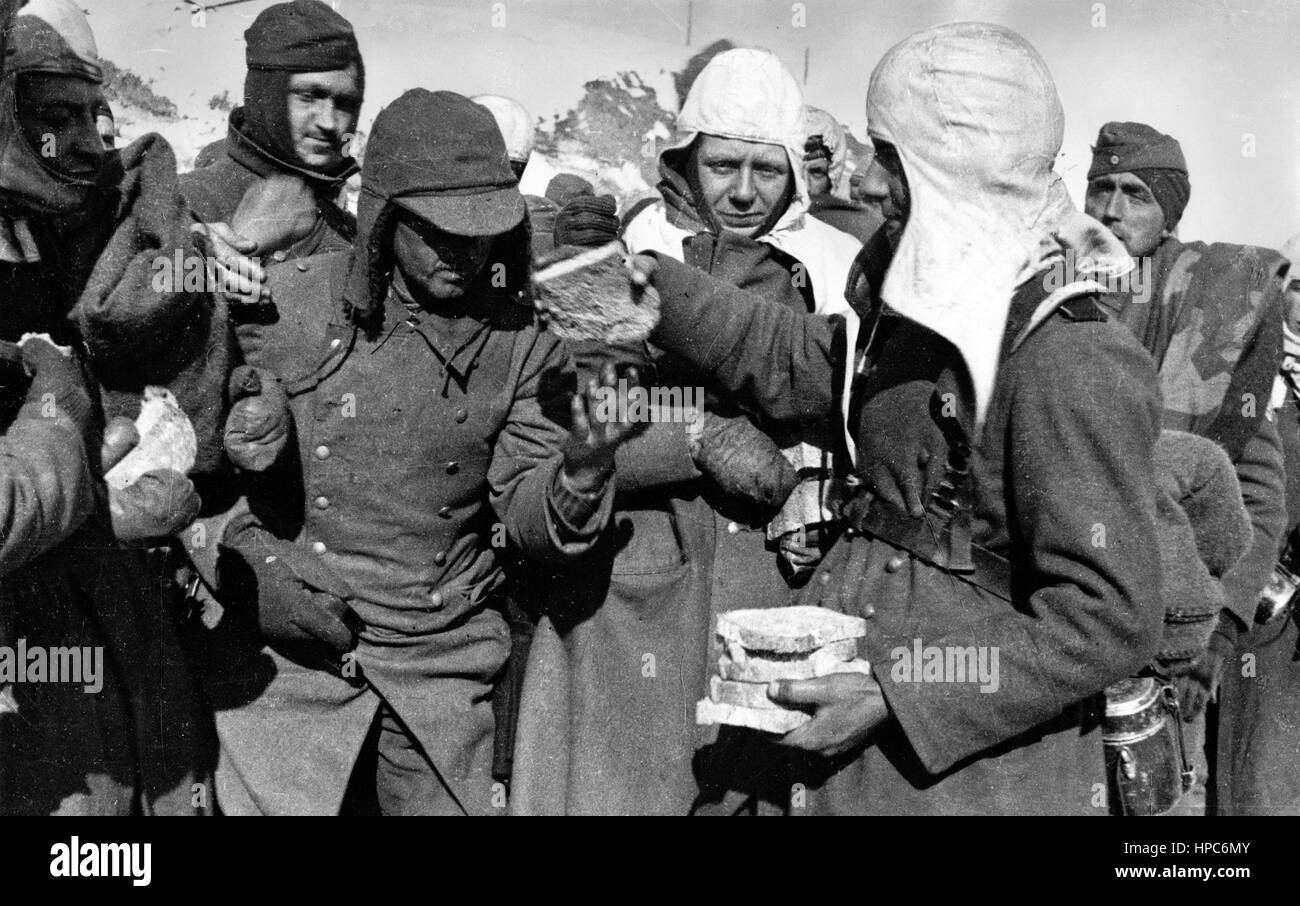 Les soldats de l'Armée rouge distribuent du pain aux prisonniers de guerre allemands pendant la bataille de Stalingrad, en Union soviétique, en 1942. Fotoarchiv für Zeitgeschichte | utilisation dans le monde entier Banque D'Images