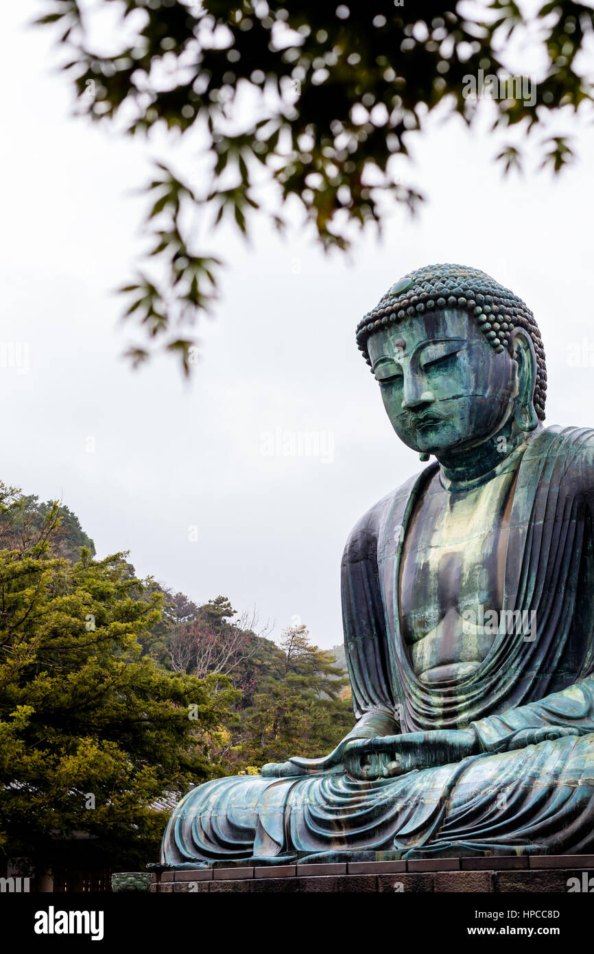 KAMAKURA, Japon, le 14 novembre 2015 : Kōtoku-in. Temple bouddhiste avec une monumentale statue de bronze de Bouddha. Banque D'Images