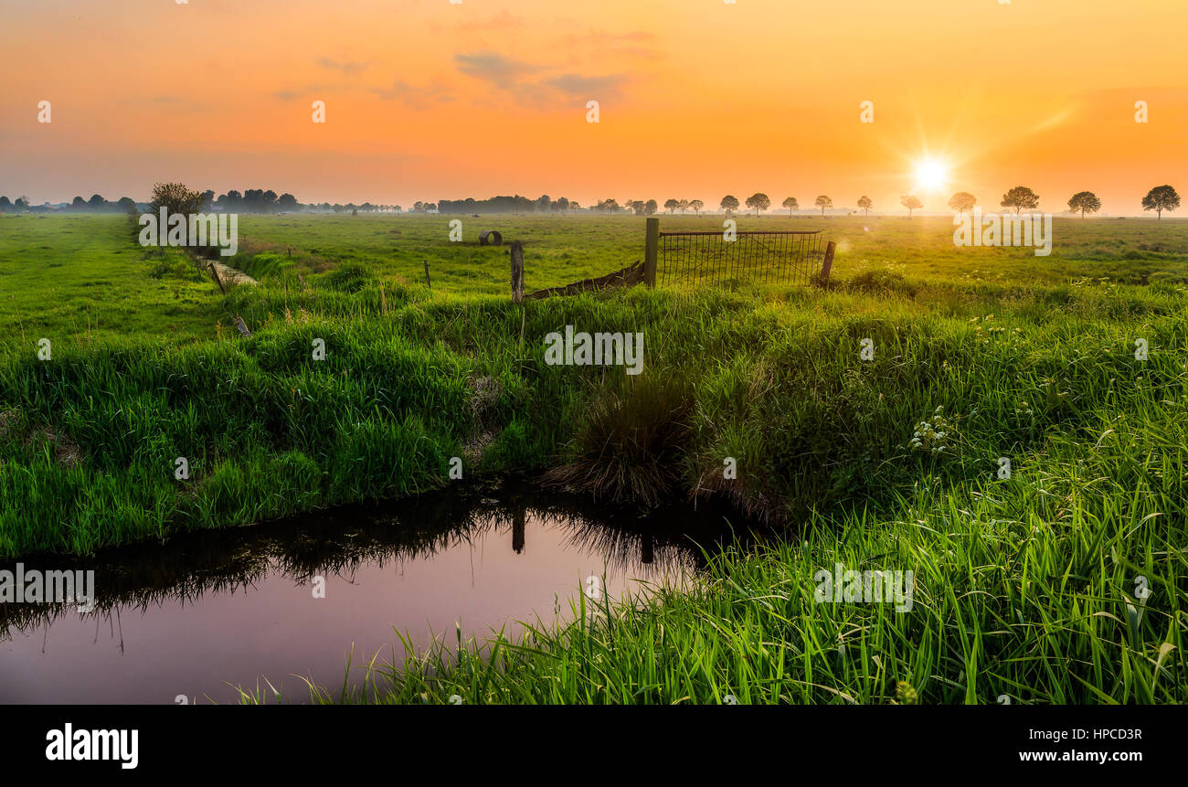 Coucher de soleil sur une prairie près de l'Weener Banque D'Images