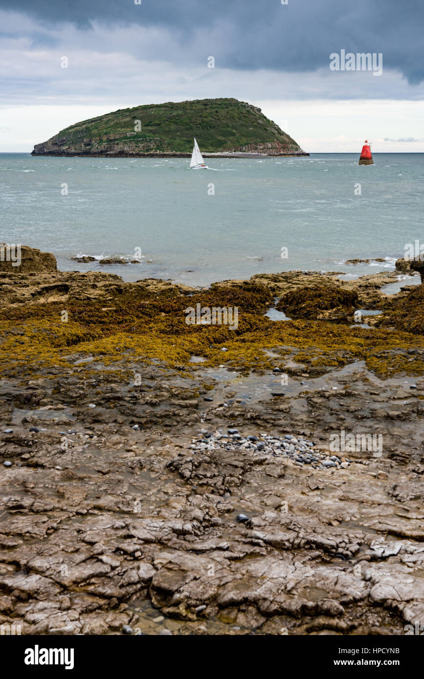 Un petit yacht traverse la mer agitée entre l'île d'Anglesey, au Pays de Galles et Macareux moine Banque D'Images