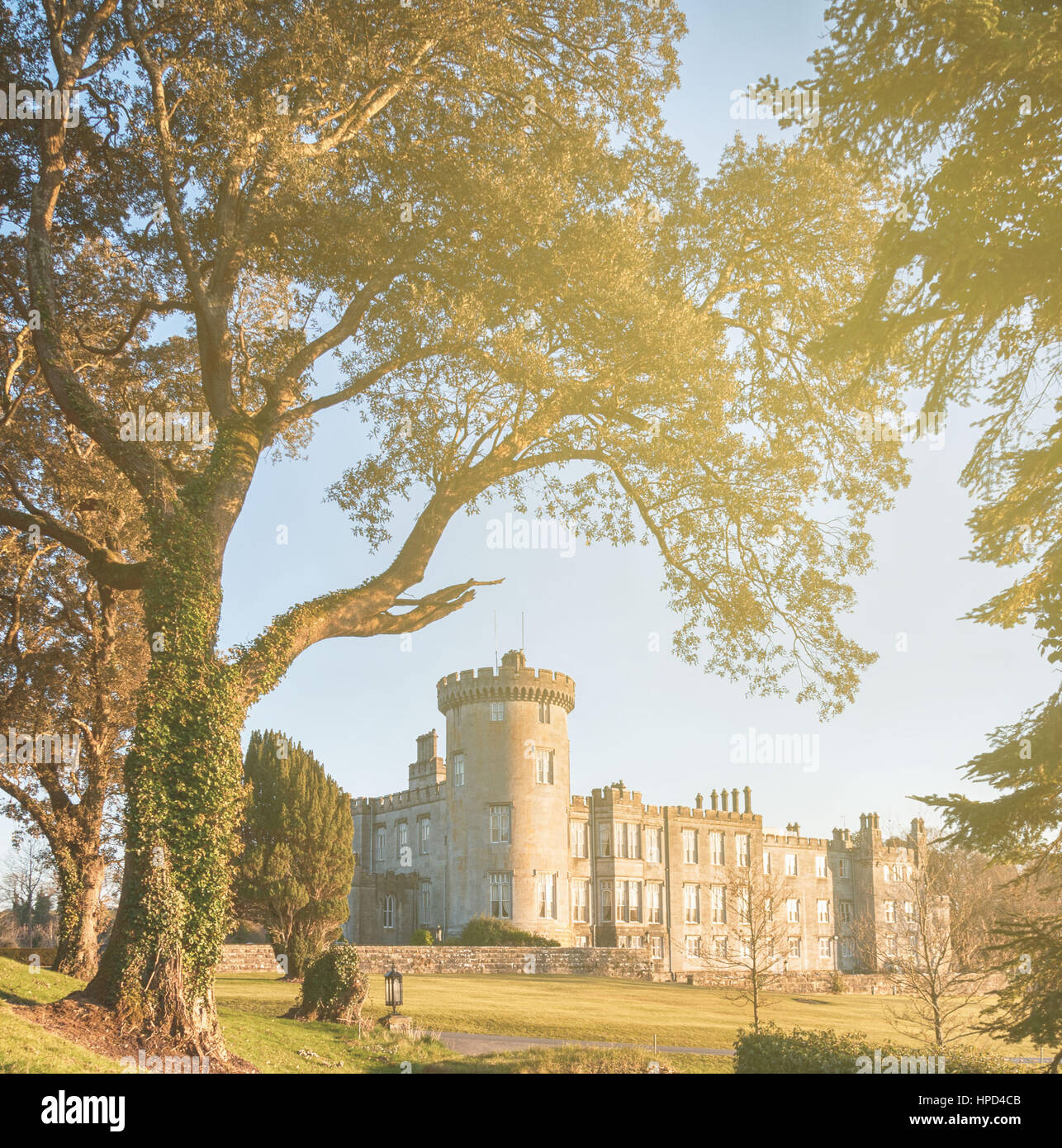 Beau paysage coucher soleil soir épique photographie d'un vieux château celtique irlandais Irlande pittoresque . château situé dans une forêt. Banque D'Images