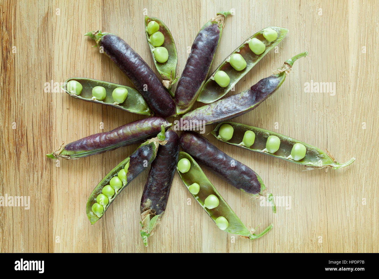 Pois frais lilas hybride de gousses et de petits pois Banque D'Images