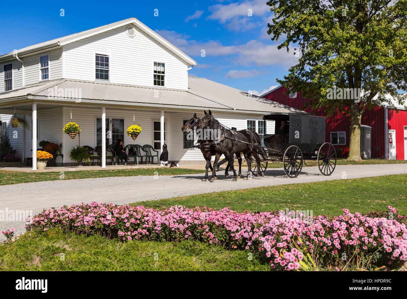 Un Amish farm home à cheval et buggies près de Kidron, Ohio, USA. Banque D'Images