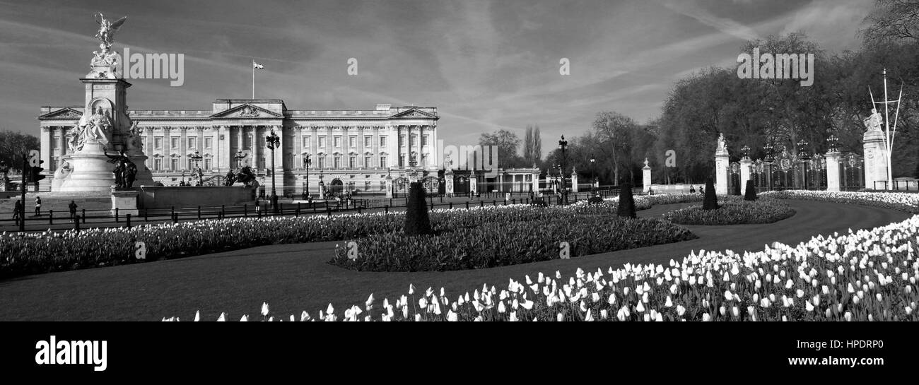Vue d'été de la façade de Buckingham Palace, St James, London, England, UK Banque D'Images