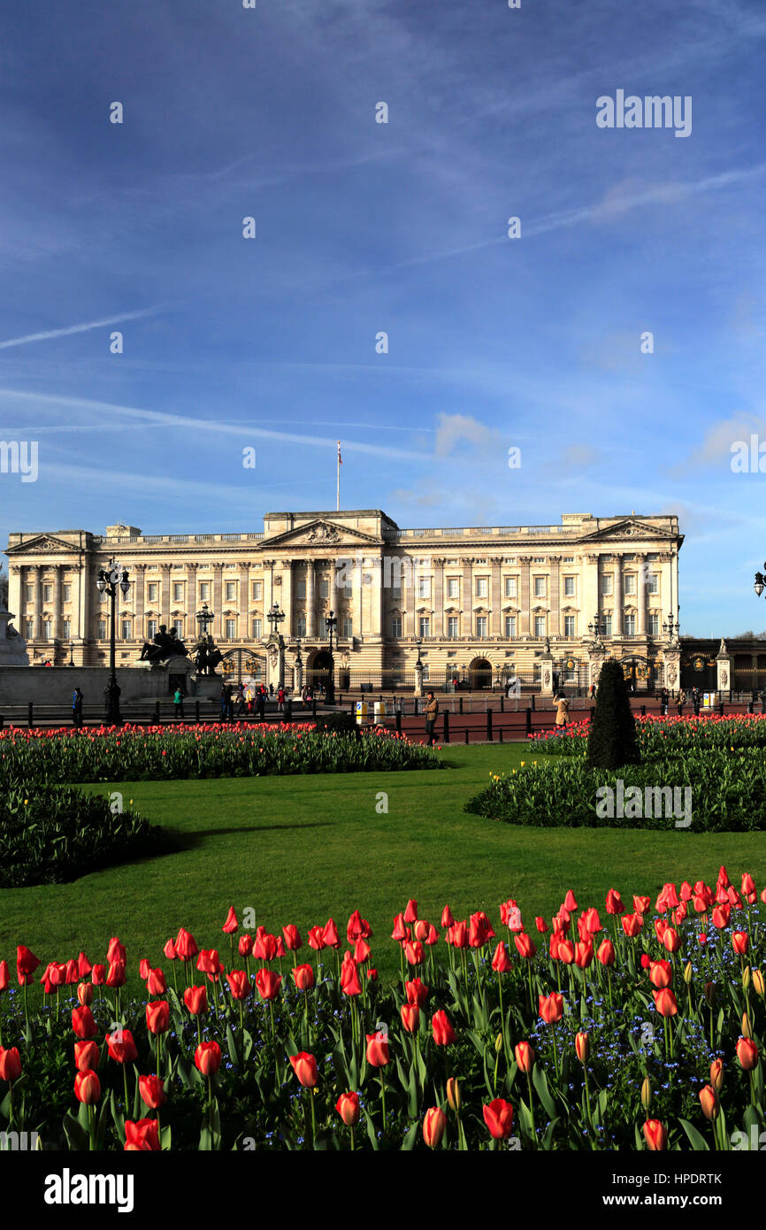 Vue d'été de la façade de Buckingham Palace, St James, London, England, UK Banque D'Images