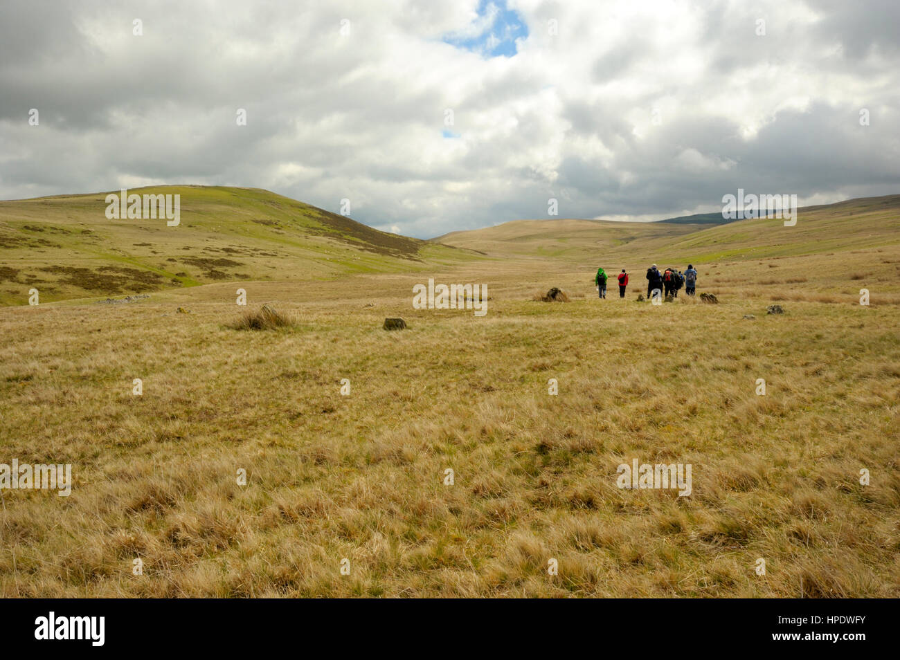 Le cercle de pierre vestigiales près de Waun Lwyd et la source de la rivière Usk (Bannau Sir Gaer Stone Circle ou cercle de pierres Sychnant) Banque D'Images