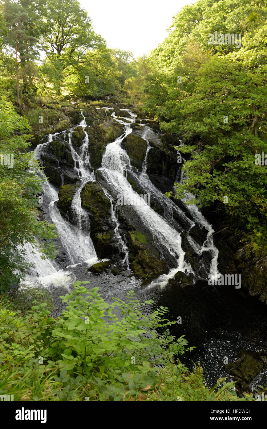 Swallow Falls sur l'Afon Llugwy près de Betws y Coed Banque D'Images