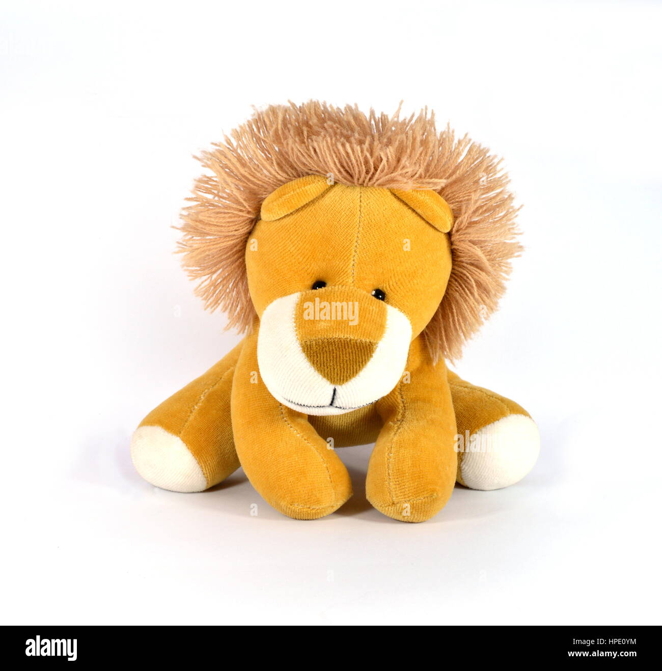 Lion peluche isolé sur fond blanc Banque D'Images