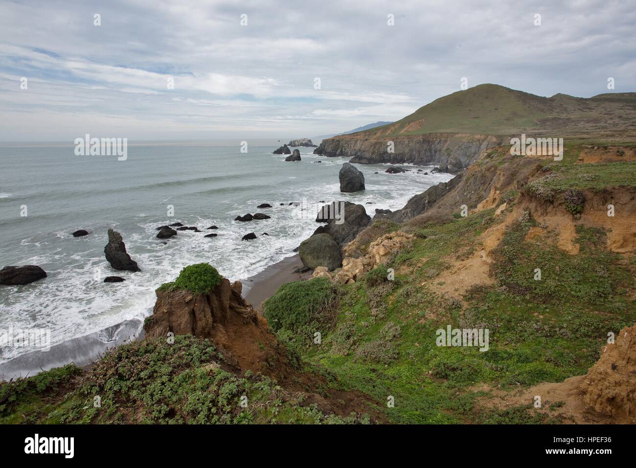 Côte sauvage du Comté de Sonoma en Californie du Nord, USA. Banque D'Images