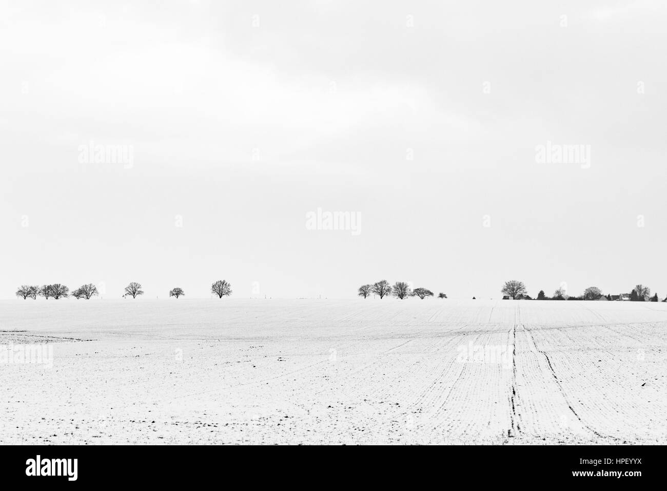 L'Allemagne, de Mecklembourg-Poméranie occidentale, route bordée d'arbres dans l'horizon dans un paysage couvert de neige Banque D'Images