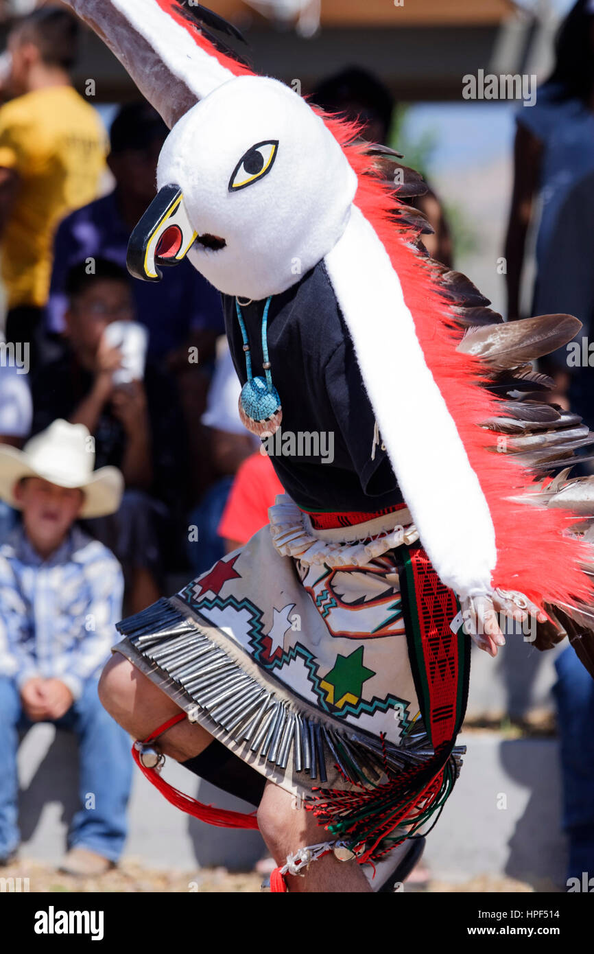 Eagle dancer, huit le nord de Pueblos Arts & Crafts Show, Ohkay Owingeh, San Juan Pueblo, New Mexico USA Banque D'Images