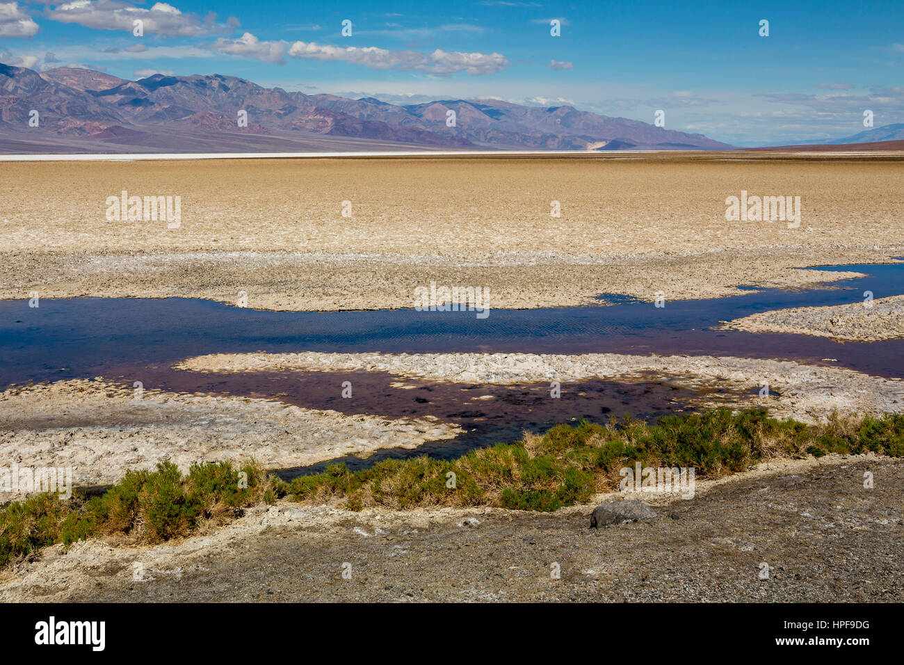 Le bassin de Badwater, 282 pieds au-dessous du niveau de la mer, Death Valley National Park, Death Valley, Californie Banque D'Images