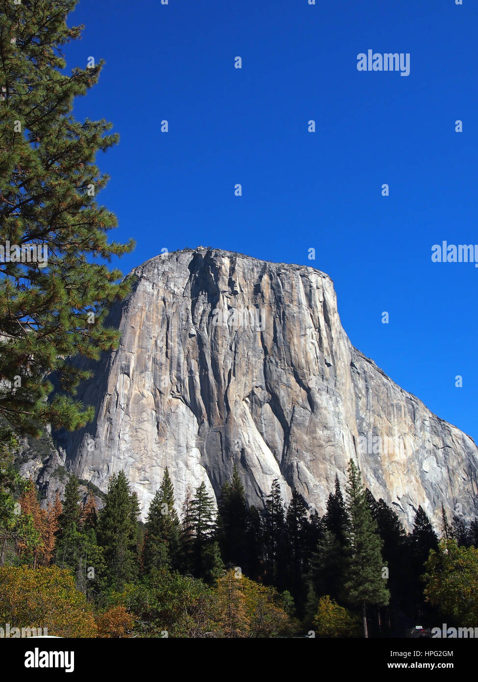 El Capitan, Yosemite National Park, California, USA Banque D'Images