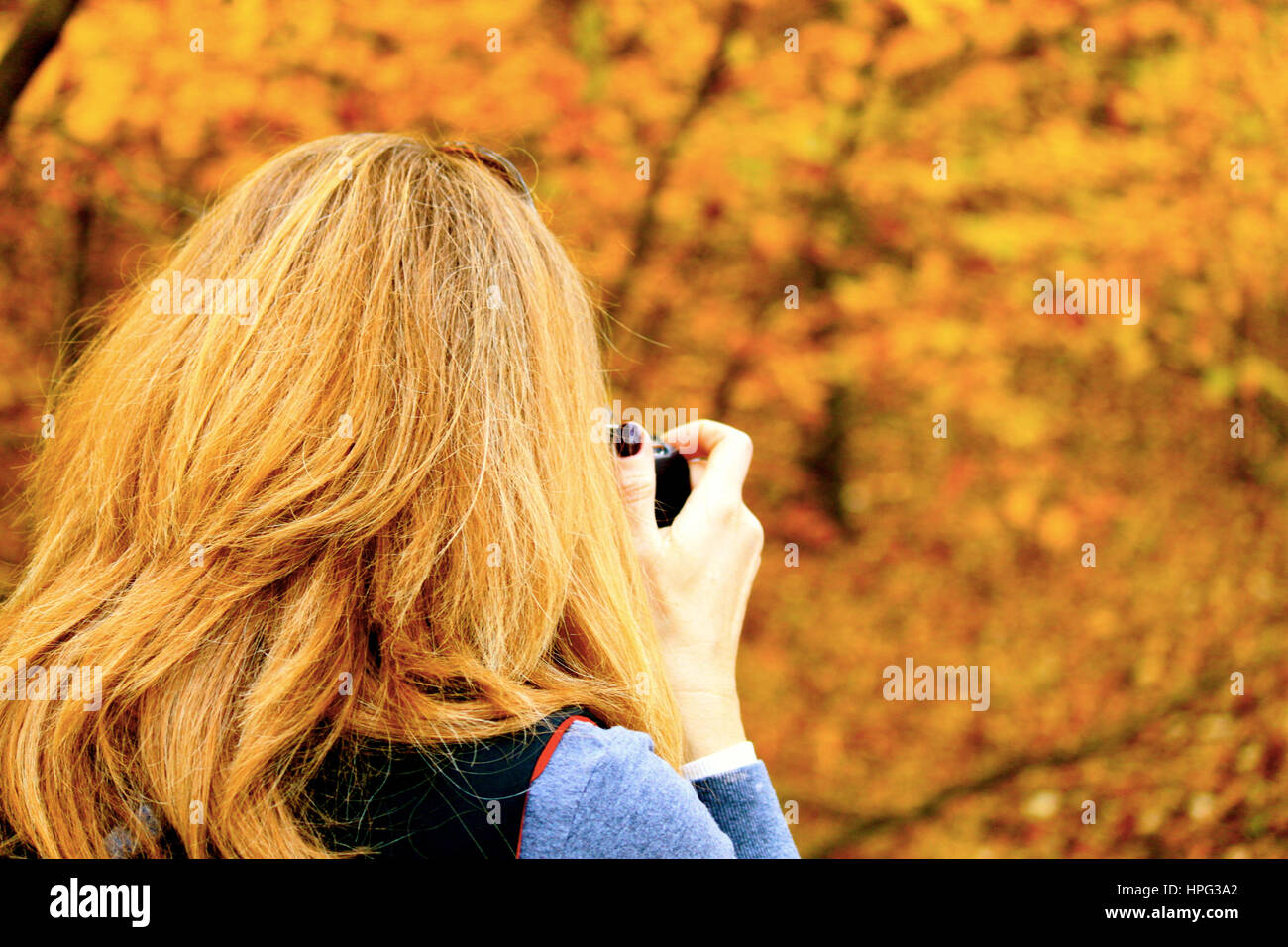 Belle femme vu photographier feuillage de l'automne où elle se fond dans la forêt le long du Midwest - Indiana Dunes National Lakeshore en octobre 2016 Banque D'Images