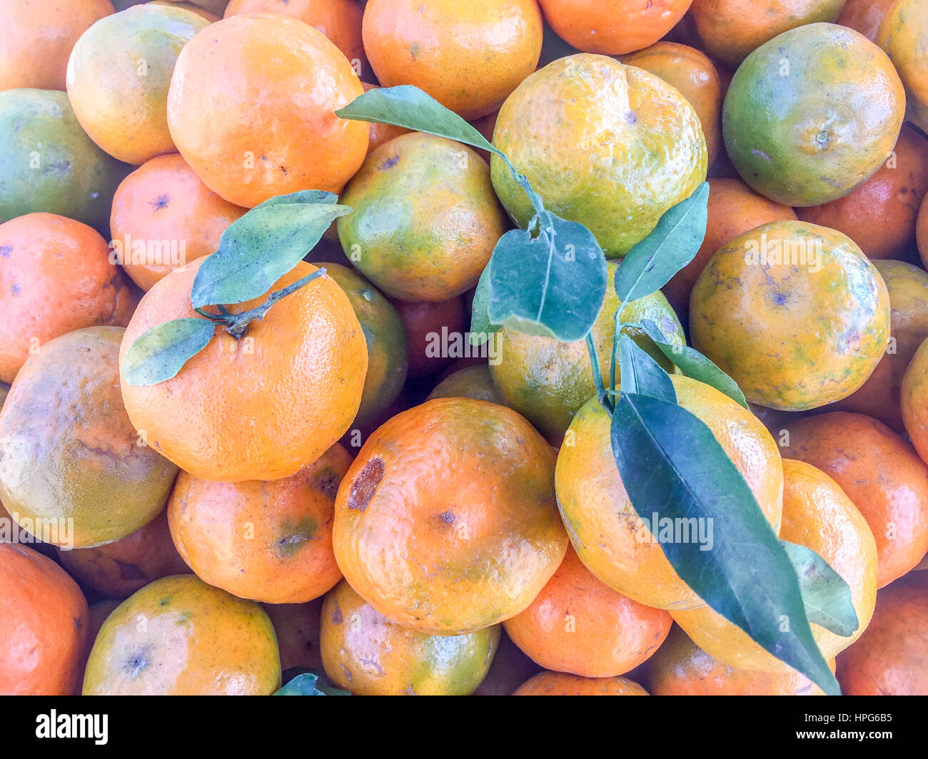 Lime mandarine qui vendent sur le marché de rue à Katmandou, Népal Banque D'Images