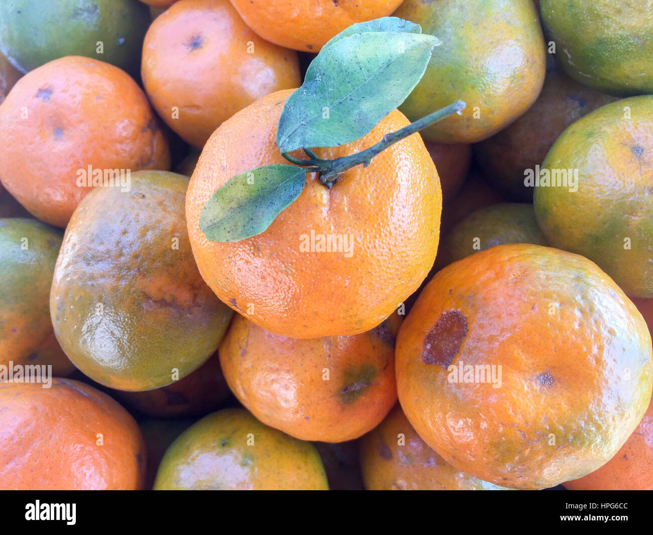 Lime mandarine qui vendent sur le marché de rue à Katmandou, Népal Banque D'Images