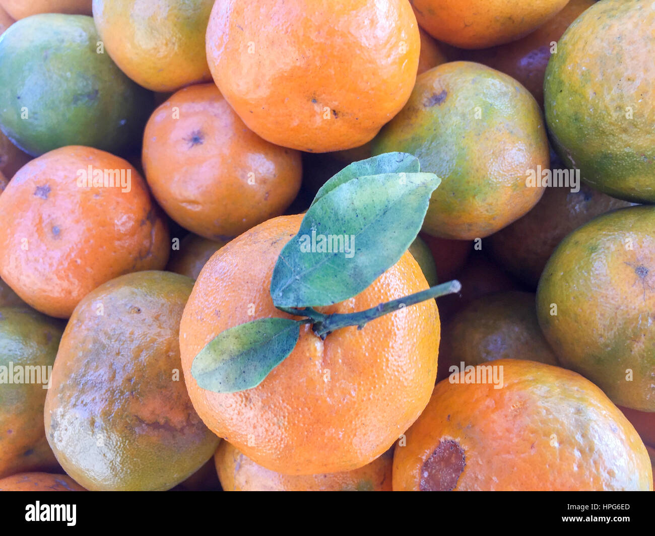 Népal la chaux ou mandarin orange sur l'écran. Banque D'Images