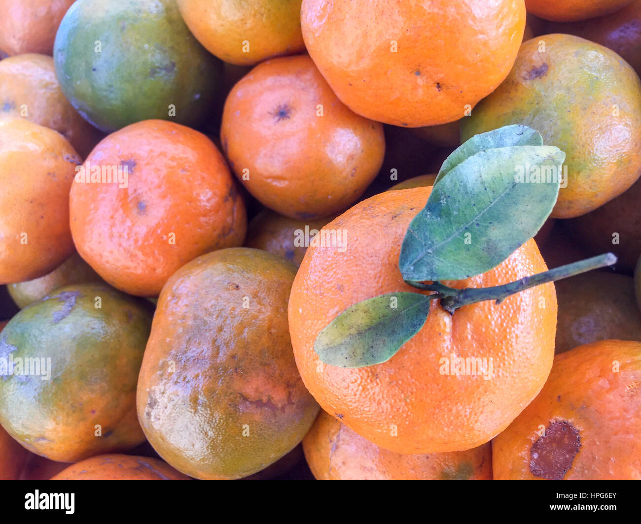 Népal la chaux ou mandarin orange sur l'écran. Banque D'Images