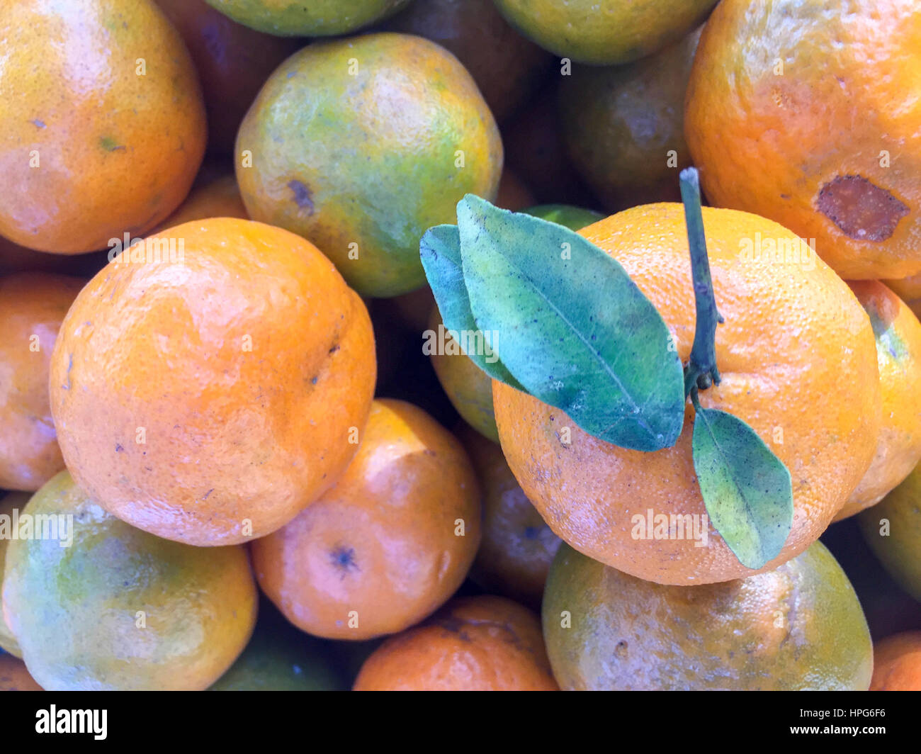 Népal la chaux ou mandarin orange sur l'écran. Banque D'Images