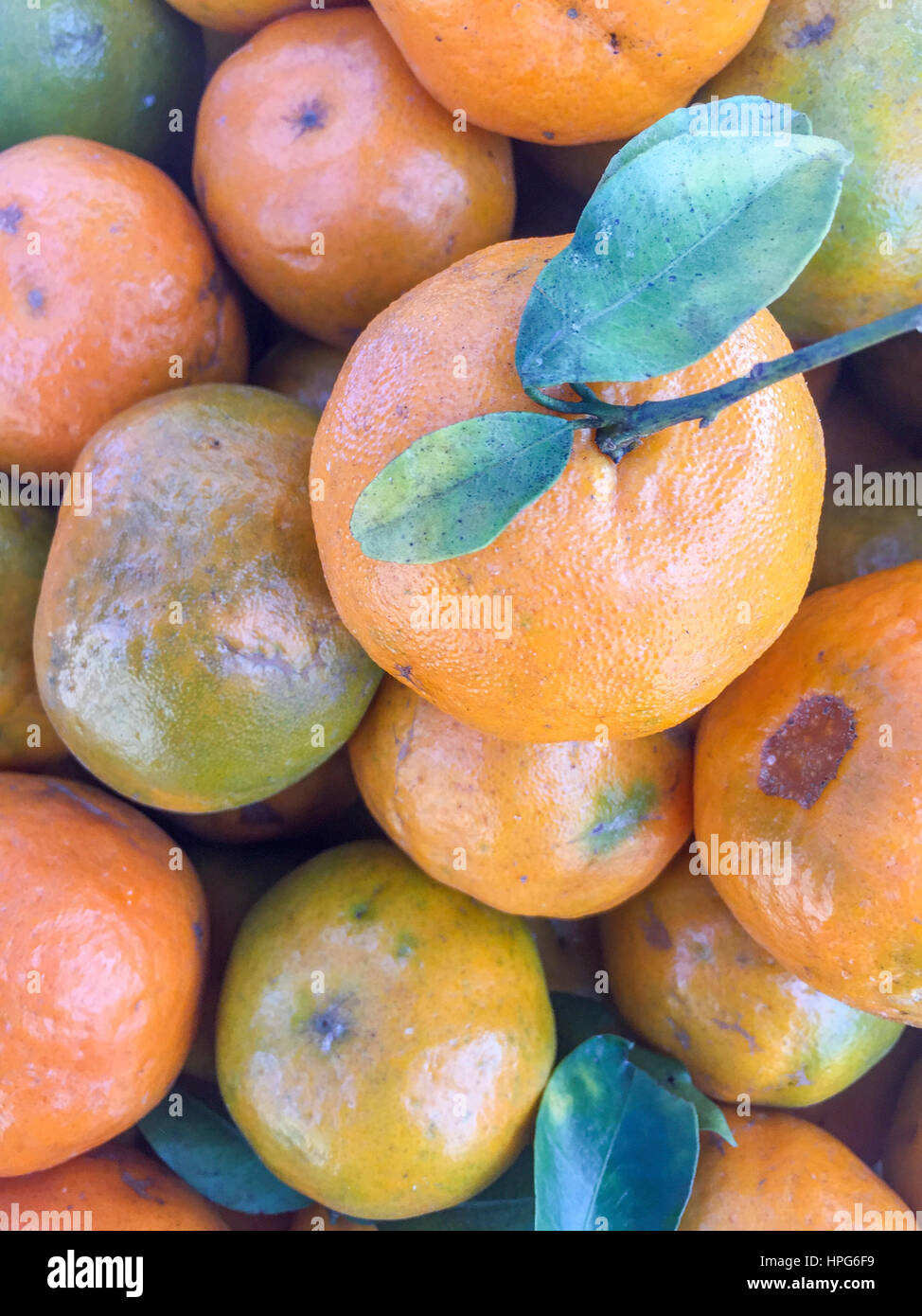 Népal la chaux ou mandarin orange sur l'écran. Banque D'Images
