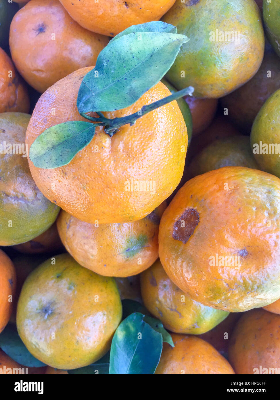 Népal la chaux ou mandarin orange sur l'écran. Banque D'Images
