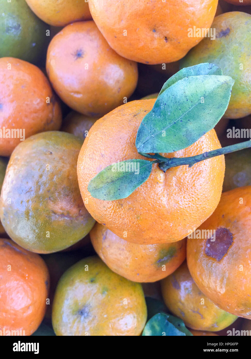 Népal la chaux ou mandarin orange sur l'écran. Banque D'Images