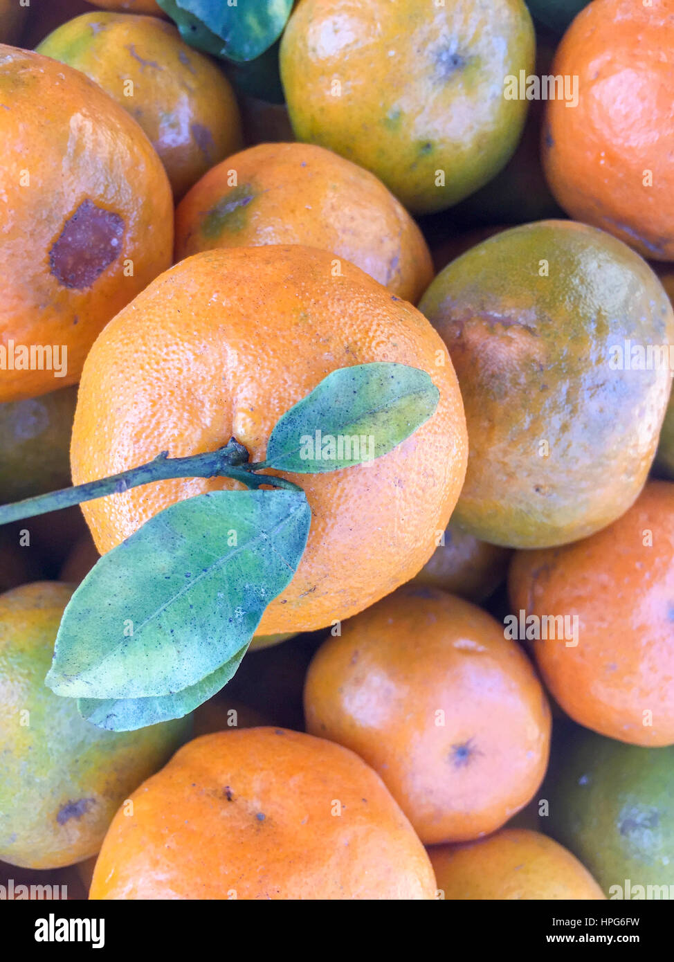 Népal la chaux ou mandarin orange sur l'écran. Banque D'Images