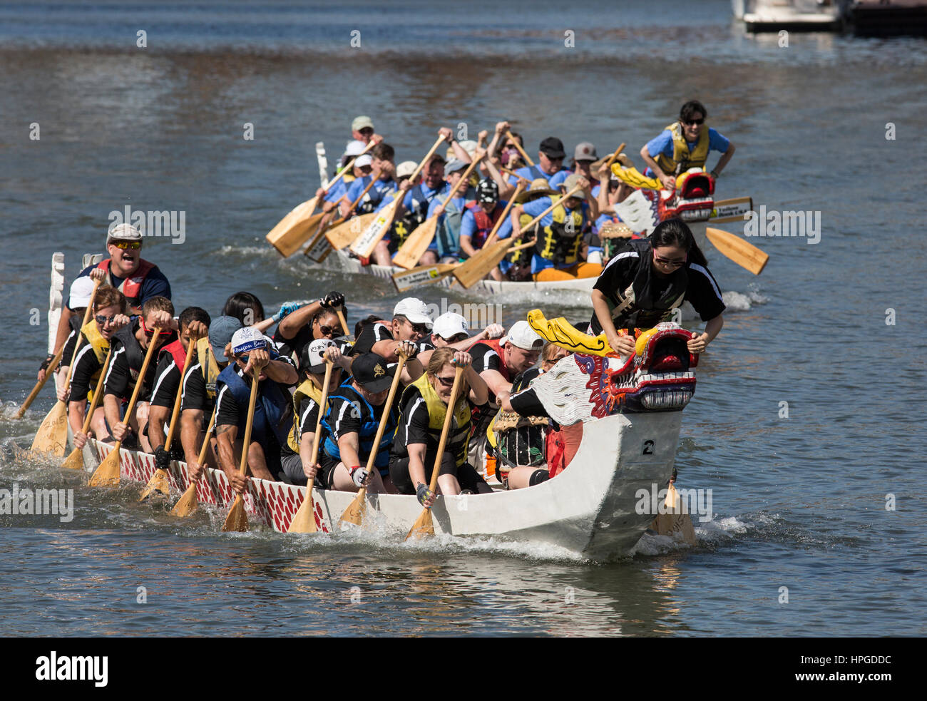 Racers Dragonboat à Ping Tom Memorial Park à Chicago. Banque D'Images