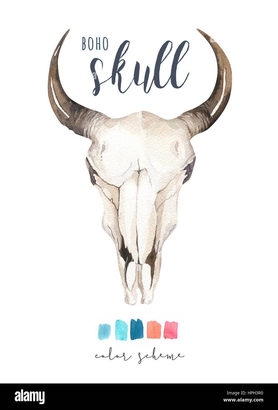 Aquarelle vache et featherl bohême skul. Les mammifères de l'Ouest. Aquarelle Décoration boho hipster deer antlers impression. fleurs, plumes. Isolé sur blanc Banque D'Images