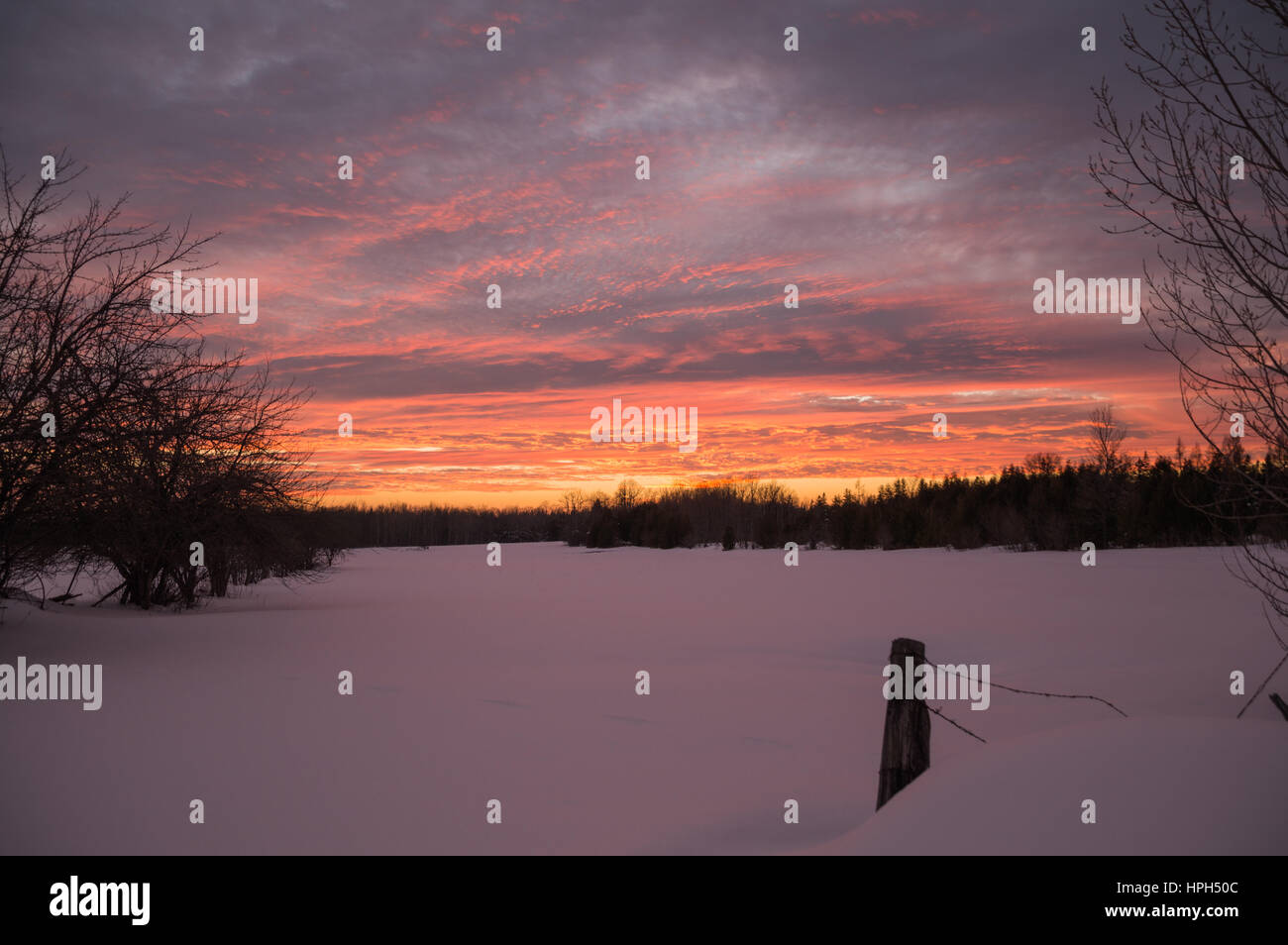 Coucher du soleil sur l'hiver lumineux snowy farm pâturage avec fencepost avec de la neige au sol. Banque D'Images