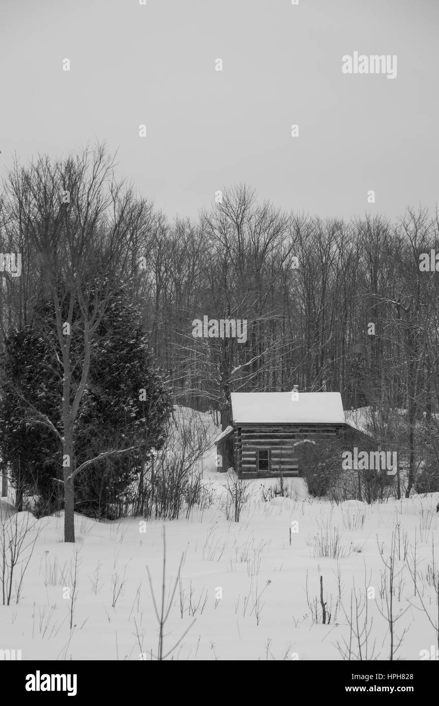 Vieux chalet en bois scié dans la neige en hiver, le paysage avec des arbres et de la neige. Noir et blanc. Banque D'Images