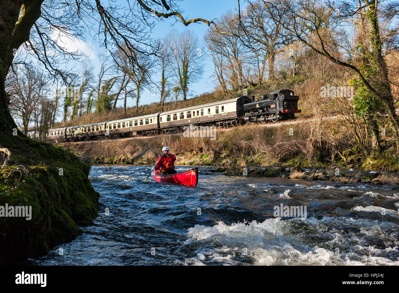 Le sud du Devon Steam Railway Banque D'Images