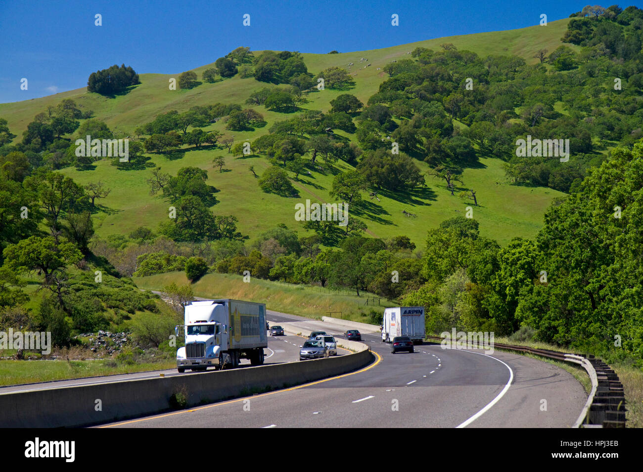 Collines verdoyantes, le long de l'autoroute 152 près de Hollister, Californie, USA. Banque D'Images