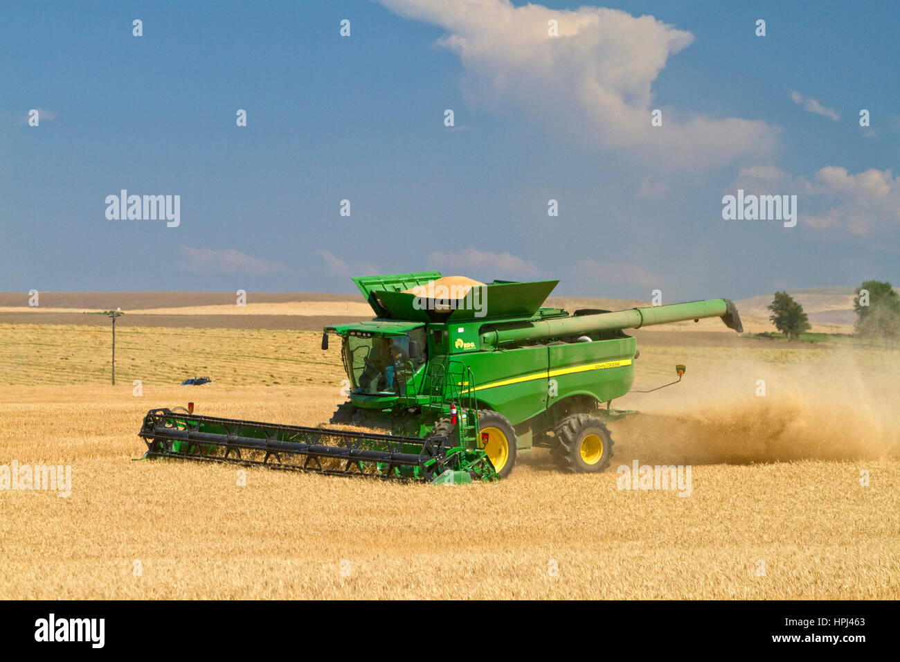 La récolte de blé près de Pendleton, Oregon, USA. Banque D'Images