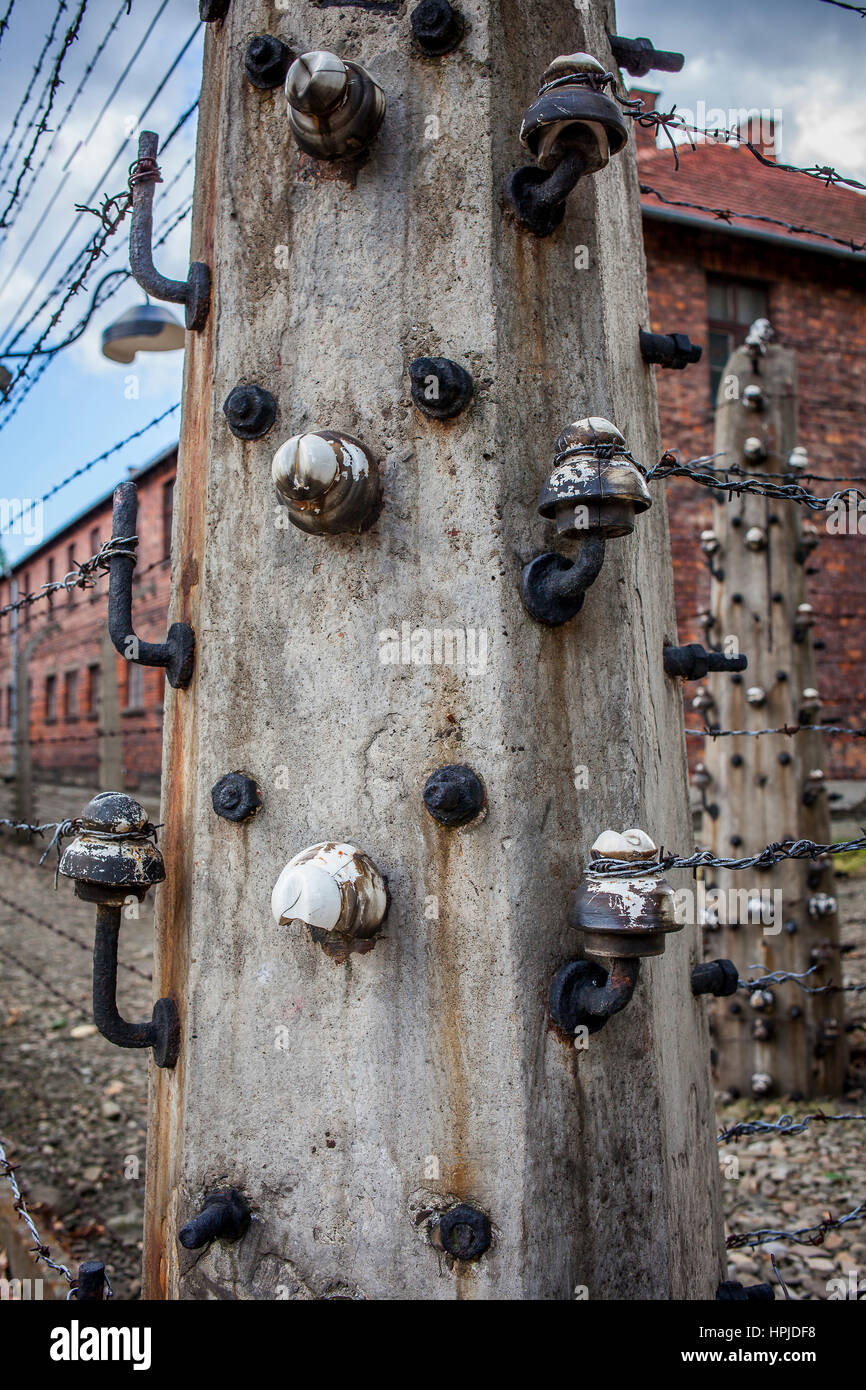 Détail de clôture électrique, camp de concentration. Auschwitz. Pologne Banque D'Images