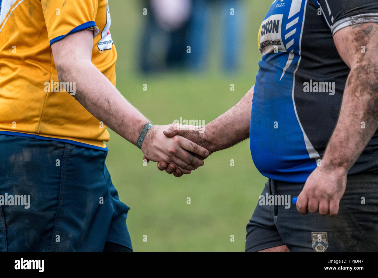 Joueur de rugby se serrer la main après le match. Banque D'Images