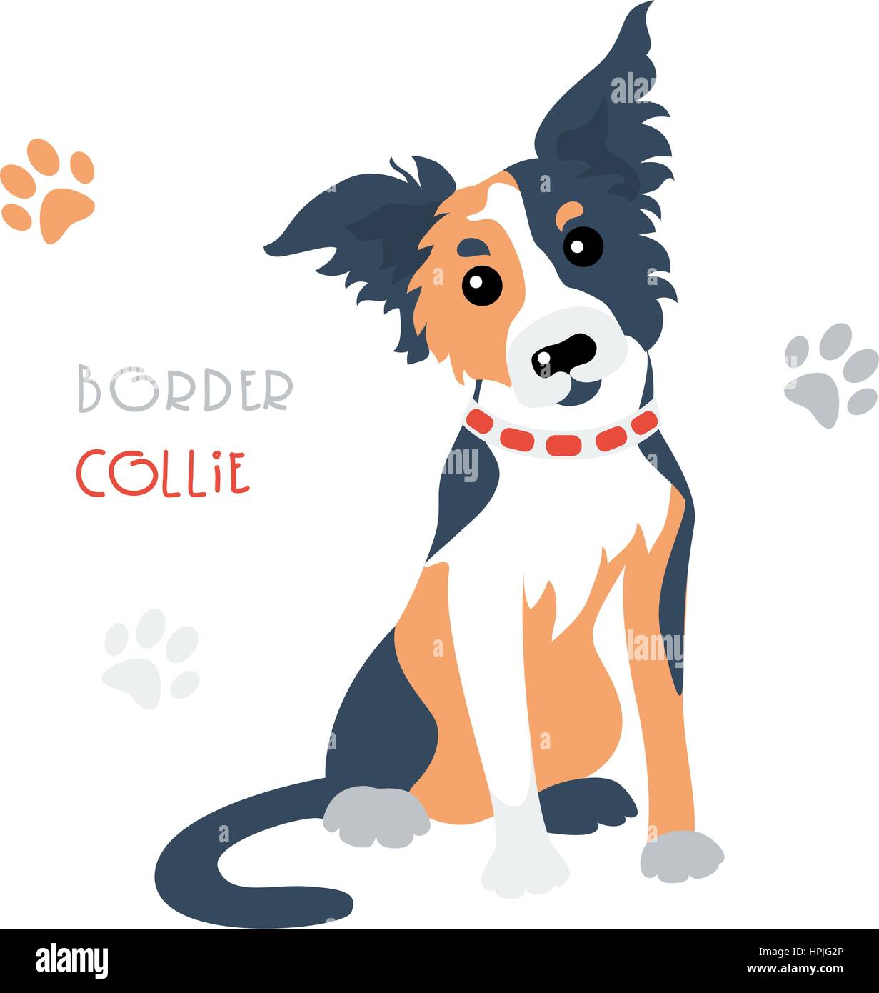 Drôle mignon chien de race border colley tricolore vector Illustration de Vecteur