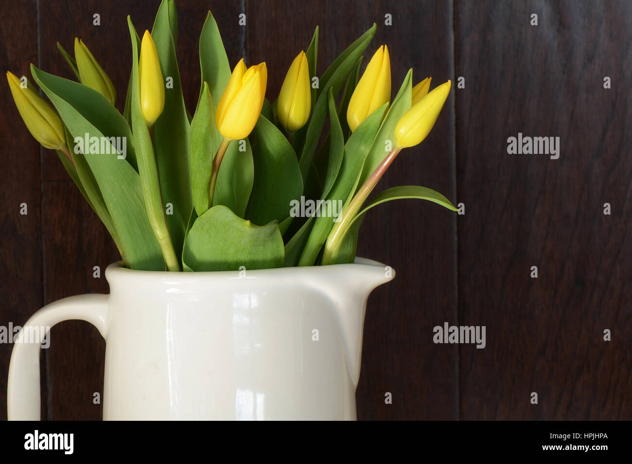 Tulipes jaunes en pot blanc avec fond en bois rustique en format horizontal Banque D'Images