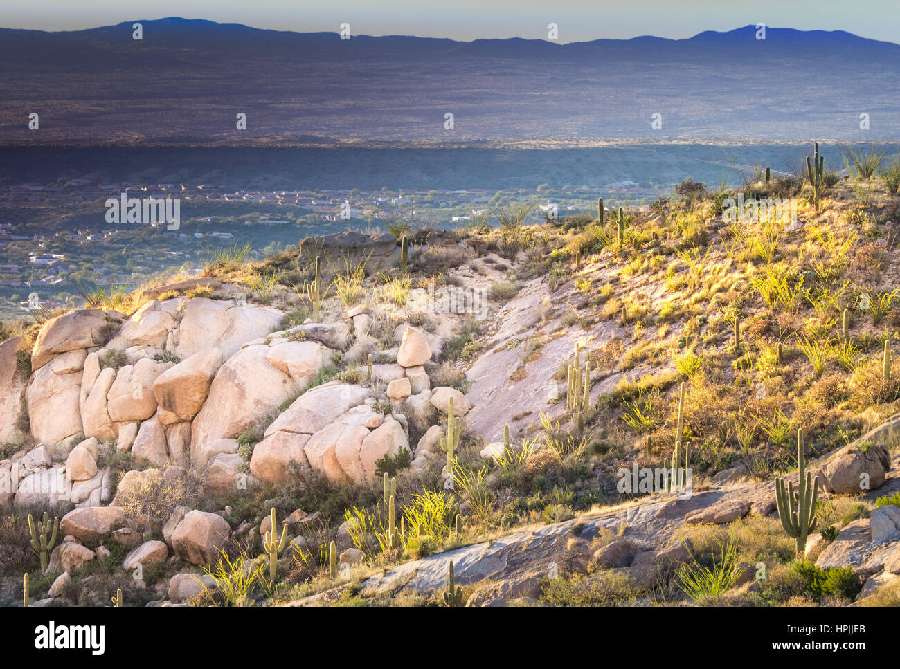 La fin de l'après-midi dans le désert de l'Arizona Banque D'Images