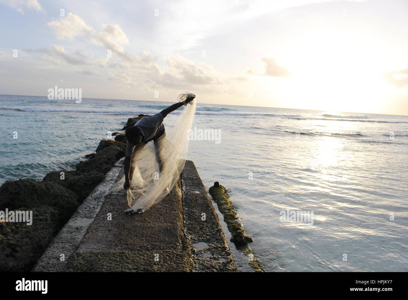 Fisherman casting son filet dans la mer, à Hastings (Barbade, Caraïbes Banque D'Images