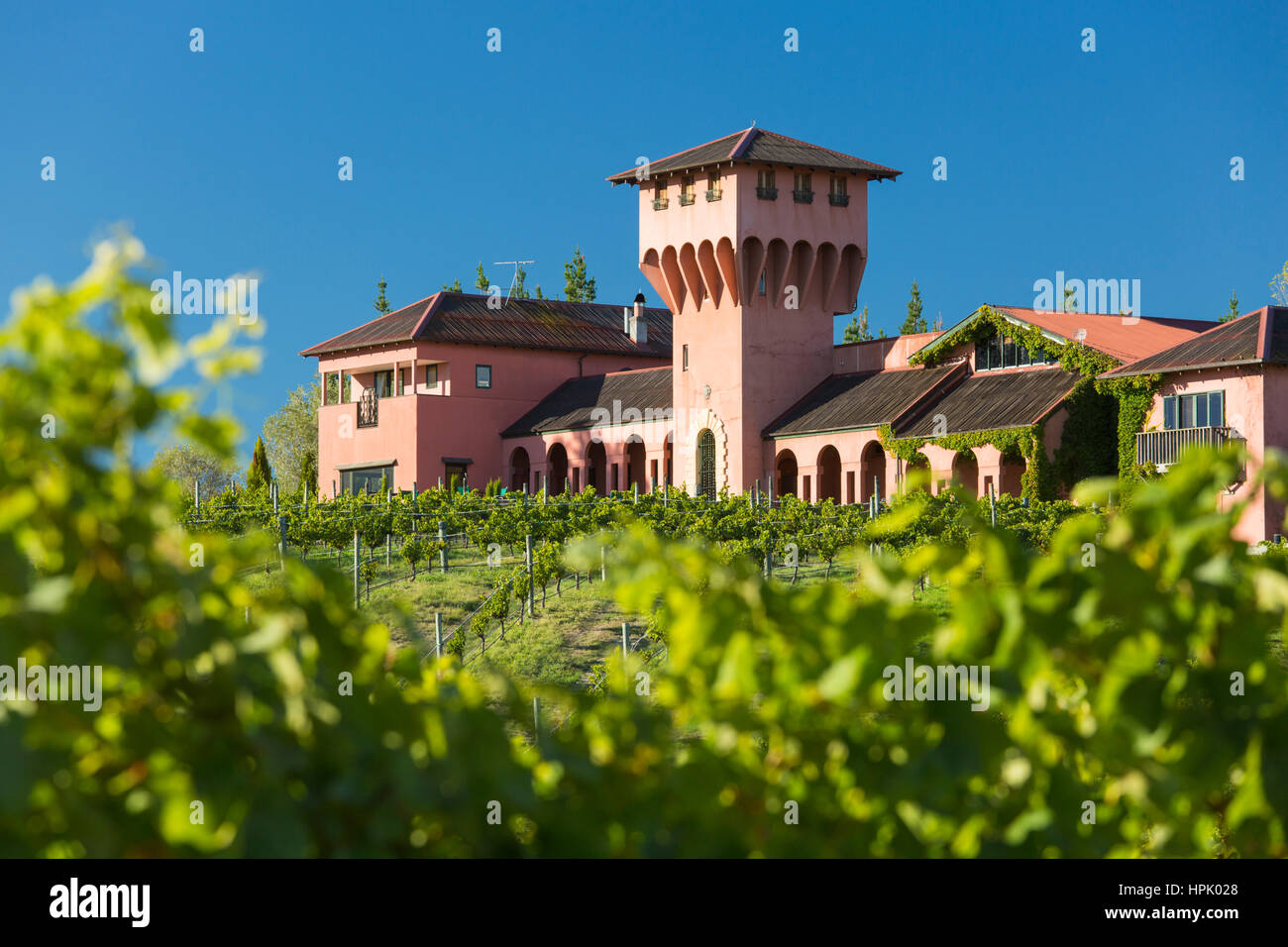 Blenheim, Marlborough, Nouvelle-Zélande. Voir à partir de la vigne à l'Highfield winery avec sa célèbre tour de style toscan avec vue sur la vallée de Wairau. Banque D'Images