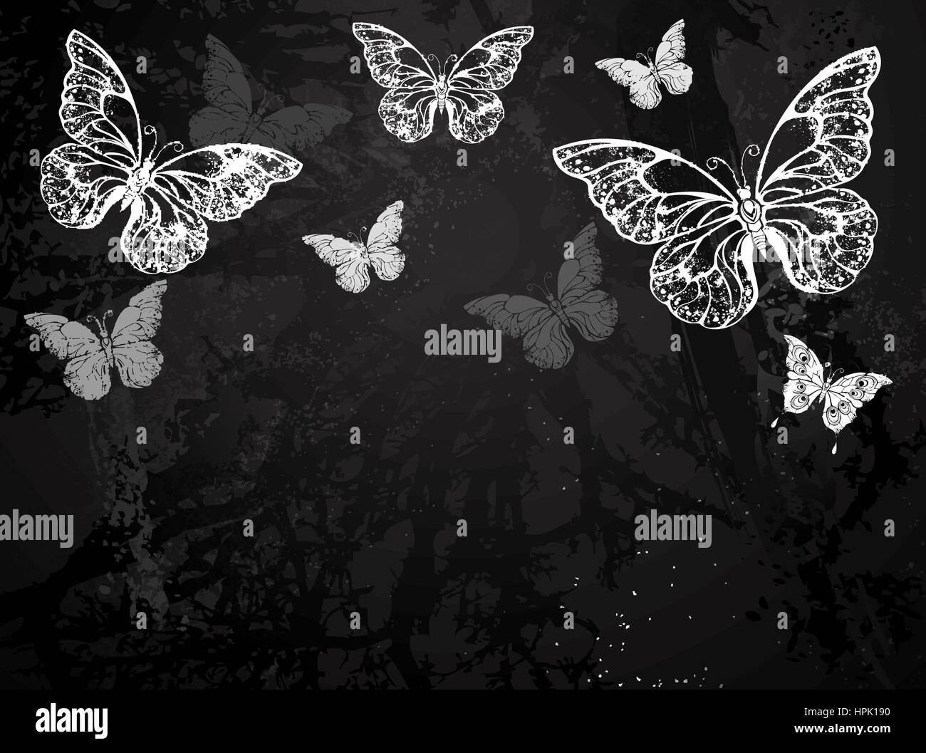 Les papillons peint en blanc craie sur tableau noir. Conception avec les papillons. Dessin à la craie. Papillon morpho. Illustration de Vecteur