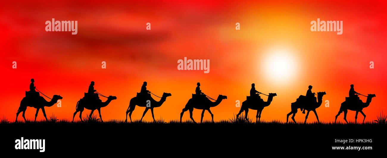 Les silhouettes des cavaliers sur des chameaux sur le fond de coucher du soleil. Banque D'Images